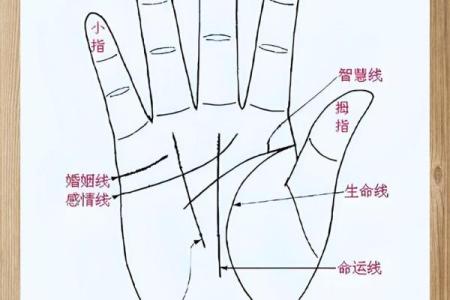 揭秘晚年福气满满的手相特征，让你晚年生活更加幸福美满