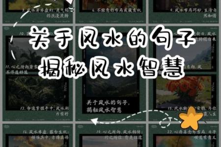 庭院风水揭秘：前阔后窄，财运亨通的秘密