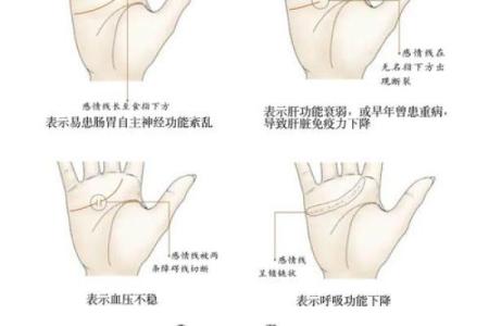手相的秘密：揭秘随着年龄和经历而改变的神奇手纹变化