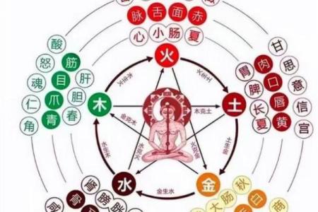五行顺序解析：影响你命运的关键因素