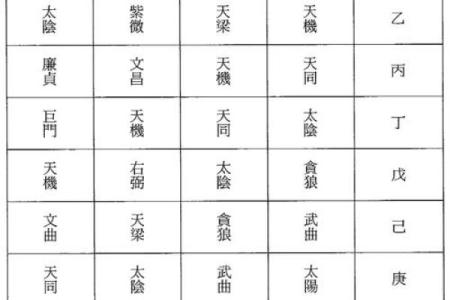 深入解析紫微排盘，揭开命运的神秘面纱