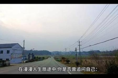 掌握张志春排盘法，解锁你人生的隐藏密码