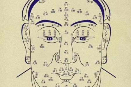 面相识人术：揭秘12个关键特征，一眼看穿人心
