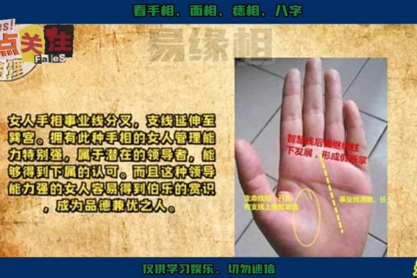 揭秘手相中的秘密：上升线预示着怎样的命运转折？