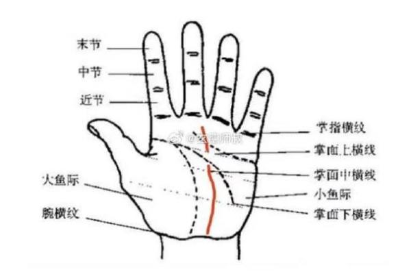揭秘手相中的秘密：上升线预示着怎样的命运转折？