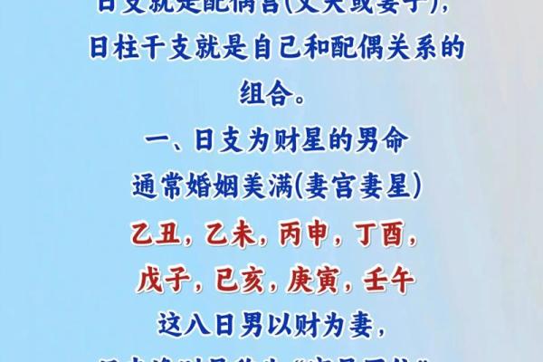 了解“是贵命”在不同文化中的解读与应用