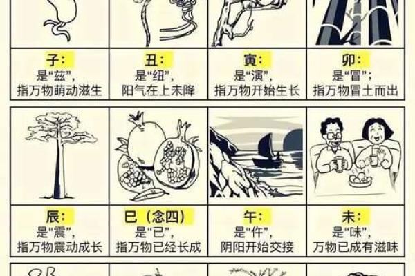 探寻天干的神秘力量，改变你的命运轨迹