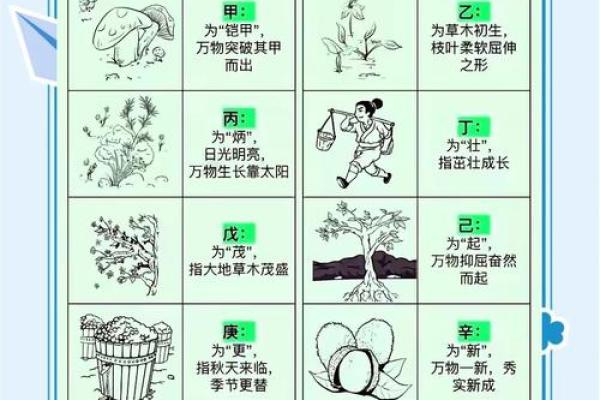 探寻天干的神秘力量，改变你的命运轨迹