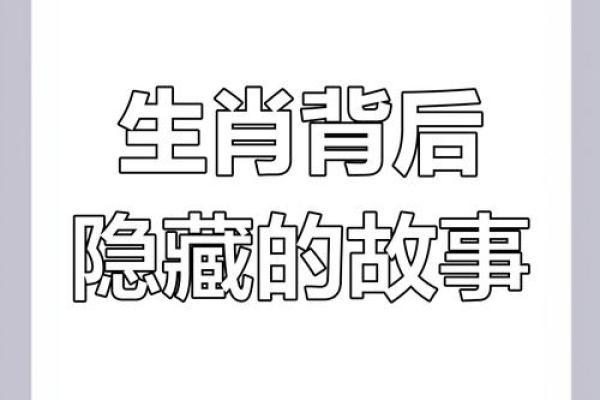 染上生肖风潮，揭秘生肖背后的神秘魅力