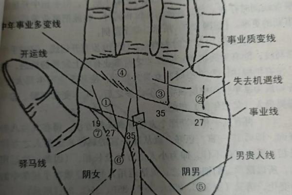 手相揭秘：一招看穿你的婚姻运势，快来测测你的幸福指数