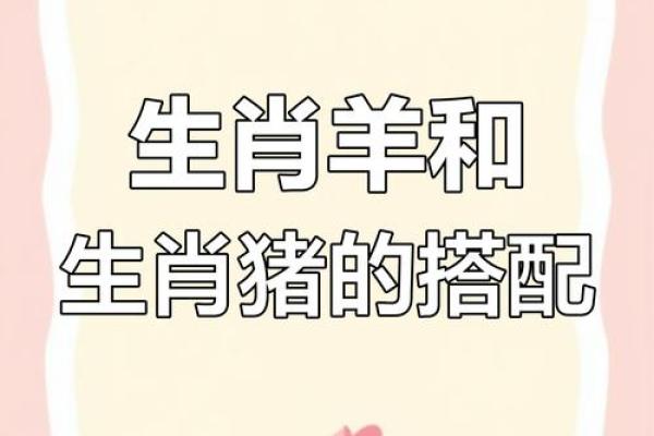 生肖龙猪大揭秘：究竟是不是绝配？火爆热议