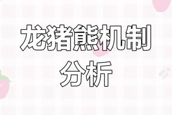 生肖龙猪大揭秘：究竟是不是绝配？火爆热议