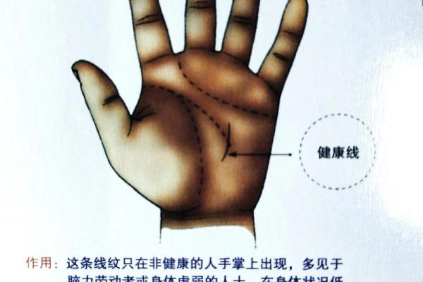 揭秘男财富纹手相：手上的秘密财富密码，你get了吗？