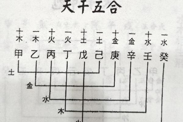 辛卯天干的五行属性与命理解析