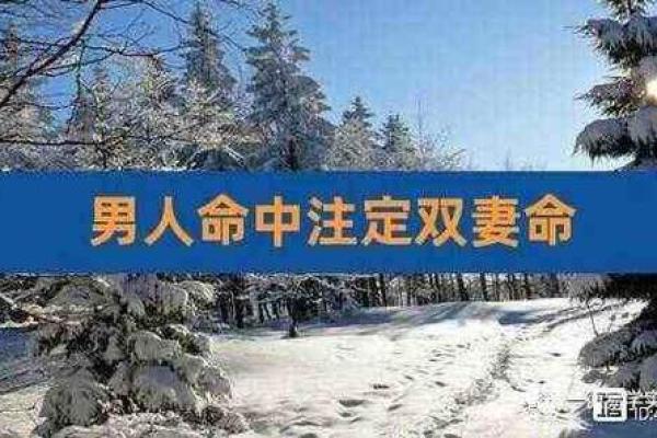 揭开八字的神秘面纱，了解你的婚姻命运