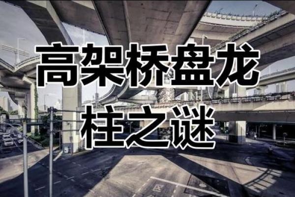 上海风水大师揭秘：这座城市的龙脉究竟隐藏在哪？