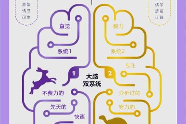 体态、容貌与命运之间的神秘关系揭秘
