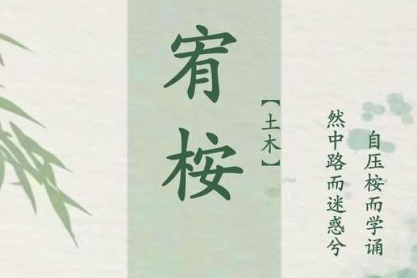 如何为桐起一个寓意深远的名字？