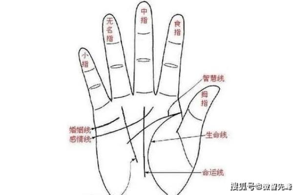 手相揭秘：一招看透你的过去与未来