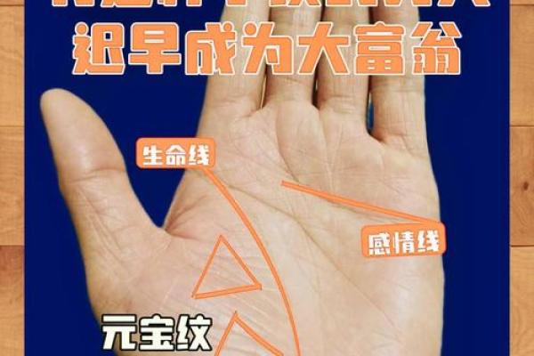 手相揭秘：一招看透你的过去与未来