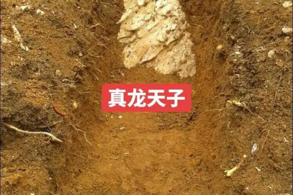 广西博白江宁：揭秘风水宝地，旺财运旺事业