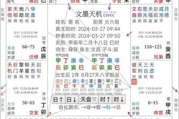 探秘紫微斗数地盘：如何解读你的命运密码？