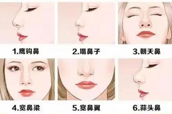 揭秘鼻子形状，揭秘你的财运和健康面相
