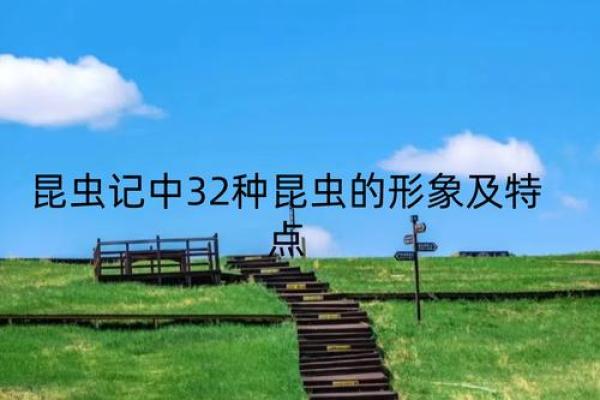 探索盲派命理的高级奥秘，言明盲派命理高级讲座等你来学
