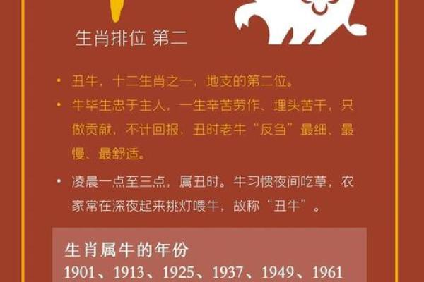 生肖大揭秘：揭秘十二生肖背后的神奇力量