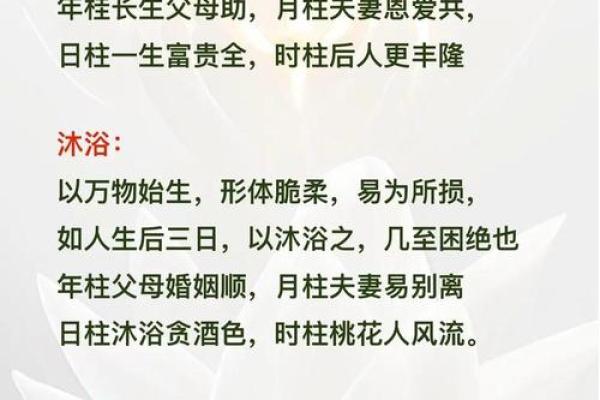 从命理学看人生，揭示其深远影响