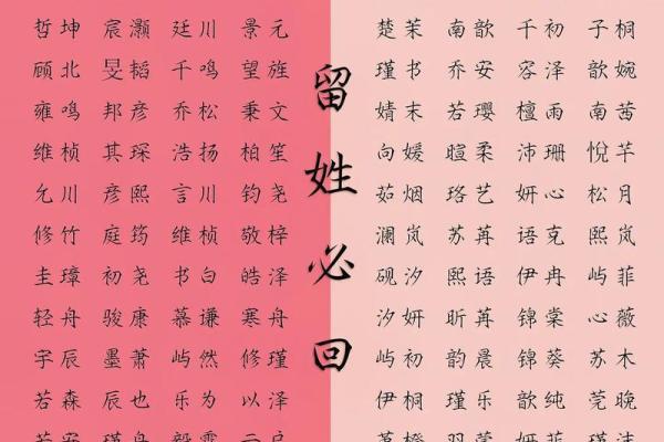 通过起名打分网，找到与命运契合的名字