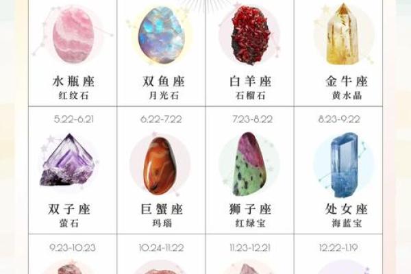 十二星座守护者：独家下载，解锁神秘力量