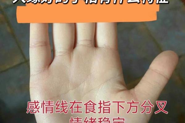 手相揭秘：网上看手相真的靠谱吗？揭秘那些你不知道的手相奥秘