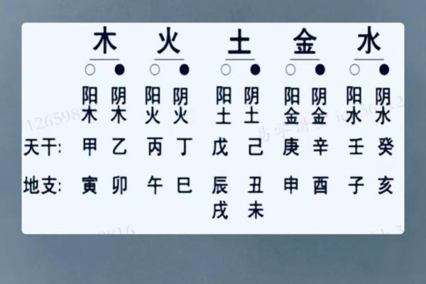 天干地支的玄机：探索五行背后的深层影响