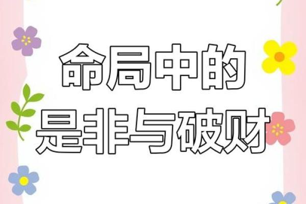 掌握紫微八字，轻松破解人生困局