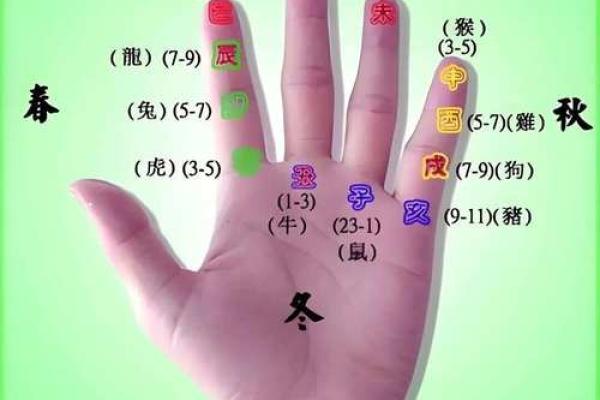 揭秘手相奥秘：鹤形手竟预示着这样的命运