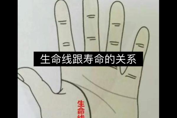 手相揭秘：一招看穿生命长短，揭秘命运奥秘