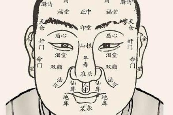 面相整形秘籍：重塑命运，美丽升级