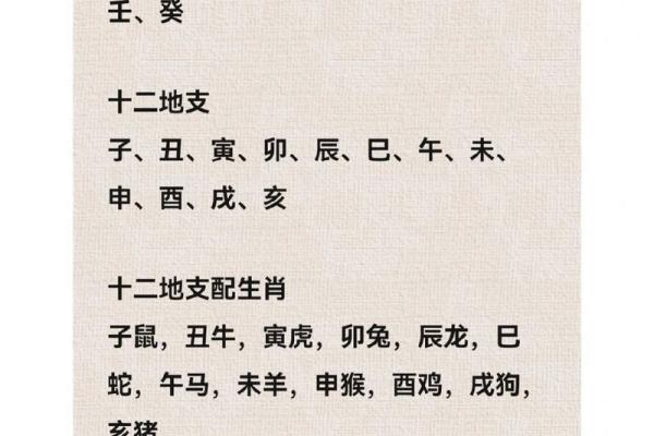 揭秘手表与天干地支的奇妙结合