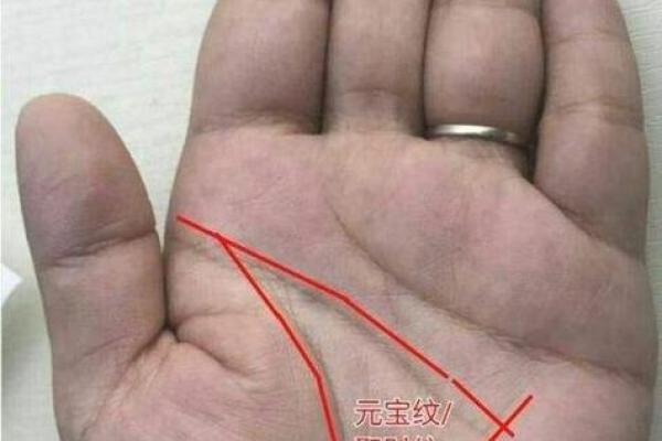 掌握命运脉搏，名牌大学录取秘籍：揭秘考名校者的神秘手相