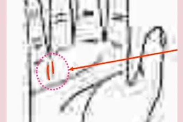 掌握命运脉搏，名牌大学录取秘籍：揭秘考名校者的神秘手相