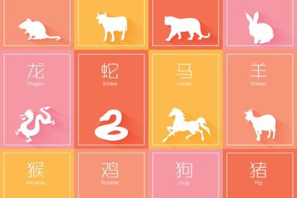 生肖揭秘：你的面相藏有哪些生肖秘密？