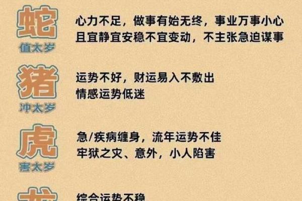 命理中的君属与命运如何紧密相连
