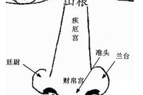 脚心凹陷财运旺，揭秘面相中的财富密码