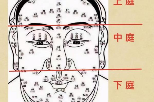 额头痣相揭秘：揭秘财运亨通的秘诀