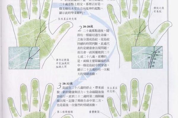 揭秘手相学：生命线深度解析，掌握你的命运密码