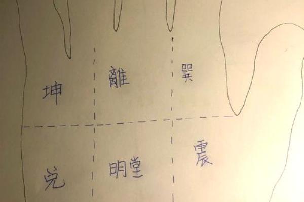 揭秘手相学：生命线深度解析，掌握你的命运密码