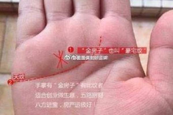 手相揭秘：无名指下茧预示着什么？财运、事业还是健康？必看