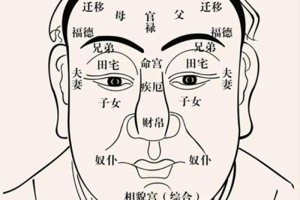 面相识人心：揭秘12个决定命运的面相特征