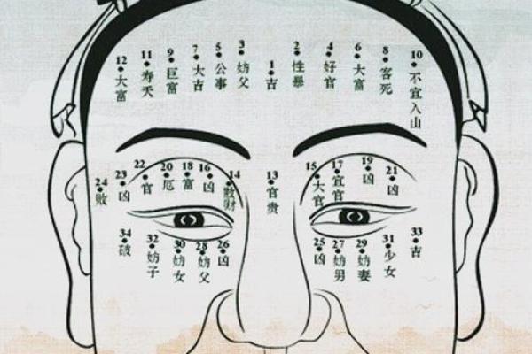 面相识人心：揭秘12个决定命运的面相特征